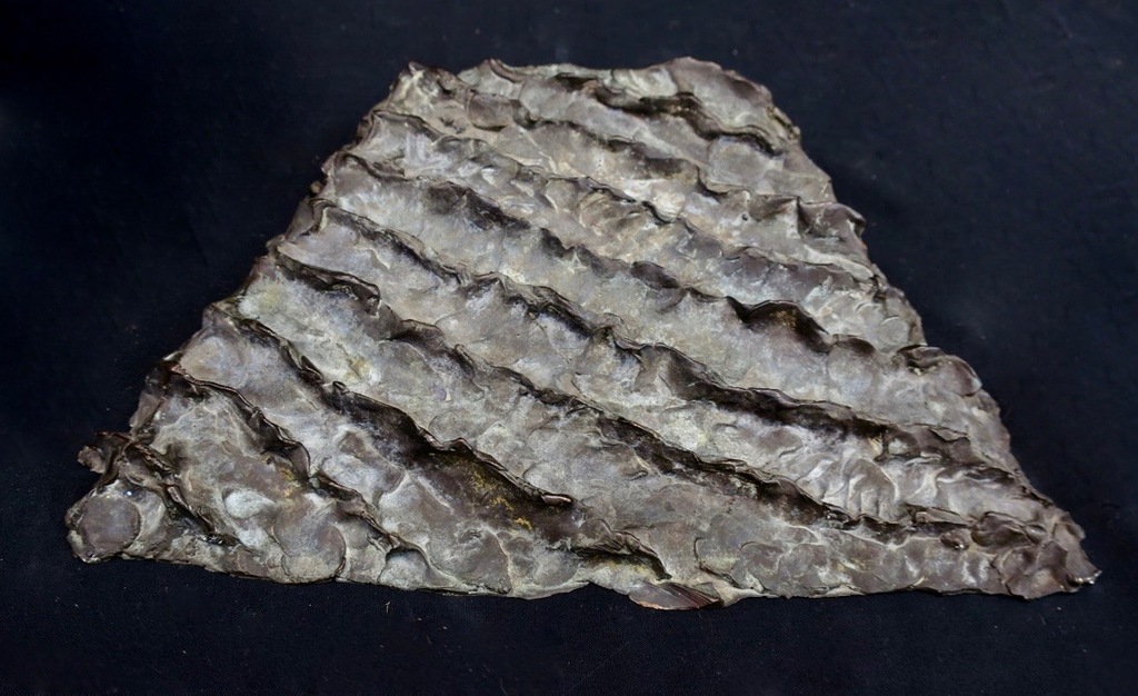 Cor Litjens: Object brons, De zee verkocht voor € 422!