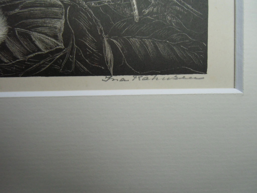 VEERTJES   ///   LITHO VAN INA RAHUSEN kopen? Bied vanaf 30!