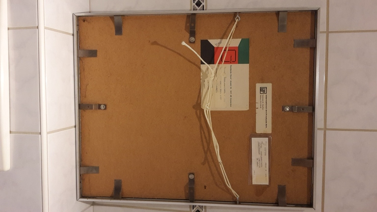 Laetitia de Haas, kleurenets,  kopen? Bied vanaf 50!