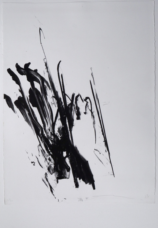 Pieter Engels verkocht voor € 75!