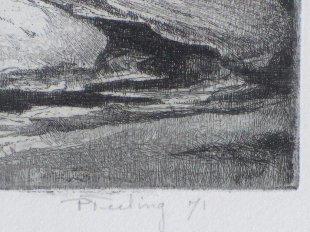 Peter Teeling, Winterlandschap Noord Holland, Ets '71 kopen? Bied vanaf 35!