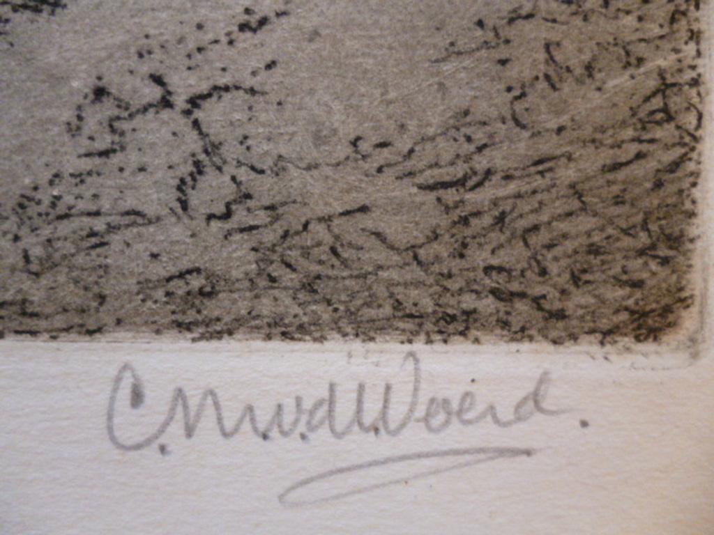 C.M. van de Woerd - ets - Aan de rivier kopen? Bied vanaf 20!