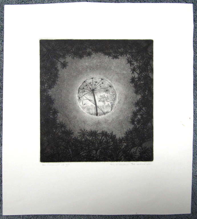 Eric Wittenberns, ets uit 1973 kopen? Bied vanaf 50!