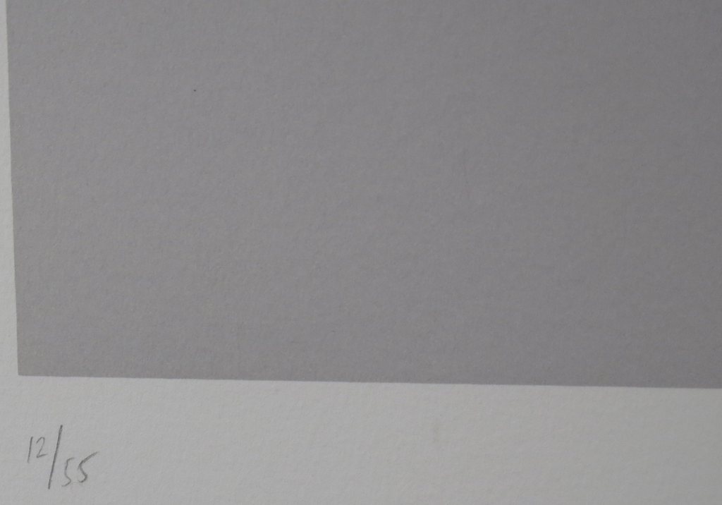 Peter Jordaan: Zeefdruk, Zonder titel  kopen? Bied vanaf 20!