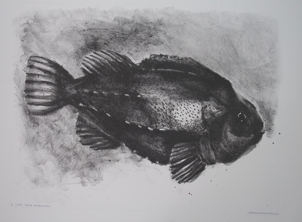 Taco Meeusen: Litho, Pisca Prehistorica  kopen? Bied vanaf 1!