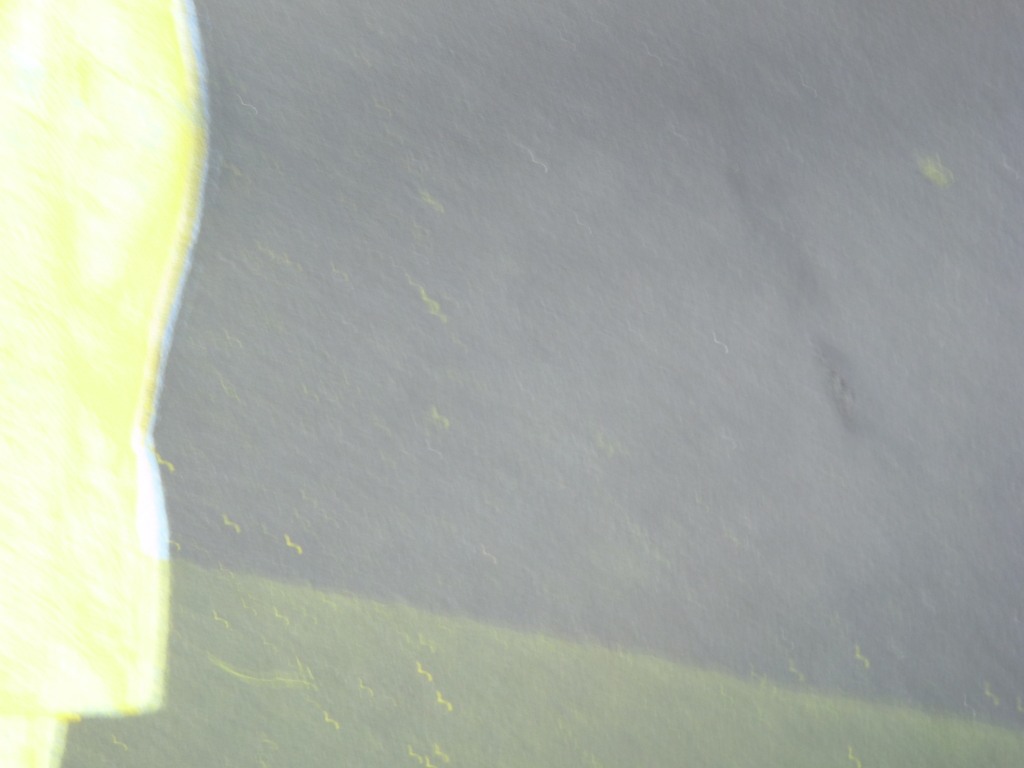 PETER BES  ZEEFDRUK  "WANDELAAR" uit 1979 kopen? Bied vanaf 45!