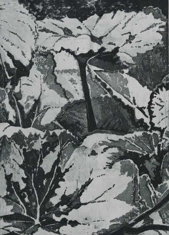 Jacques van Erven: Ets, Botanisch (groot) kopen? Bied vanaf 1!