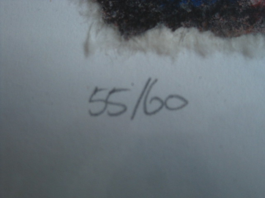 Hans Innemee (1951-) - handgekleurde zeefdruk -zeer beperkte oplage - gesigneerd kopen? Bied vanaf 1!