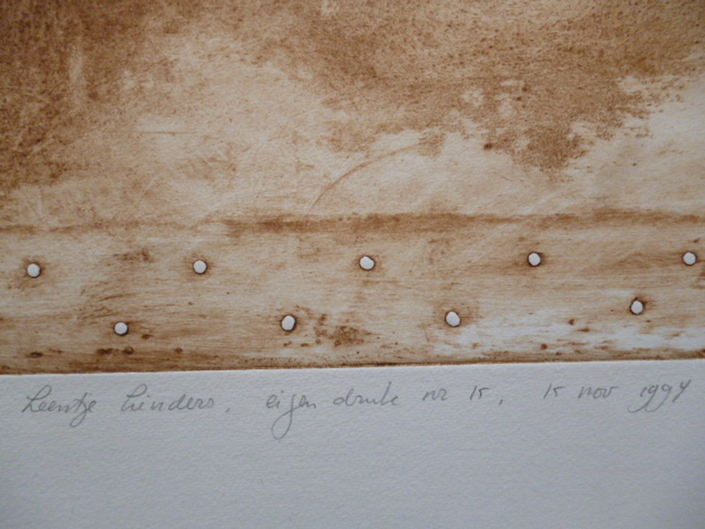 Leentje Linders -kleurenets - Skin of the plane - part two kopen? Bied vanaf 45!