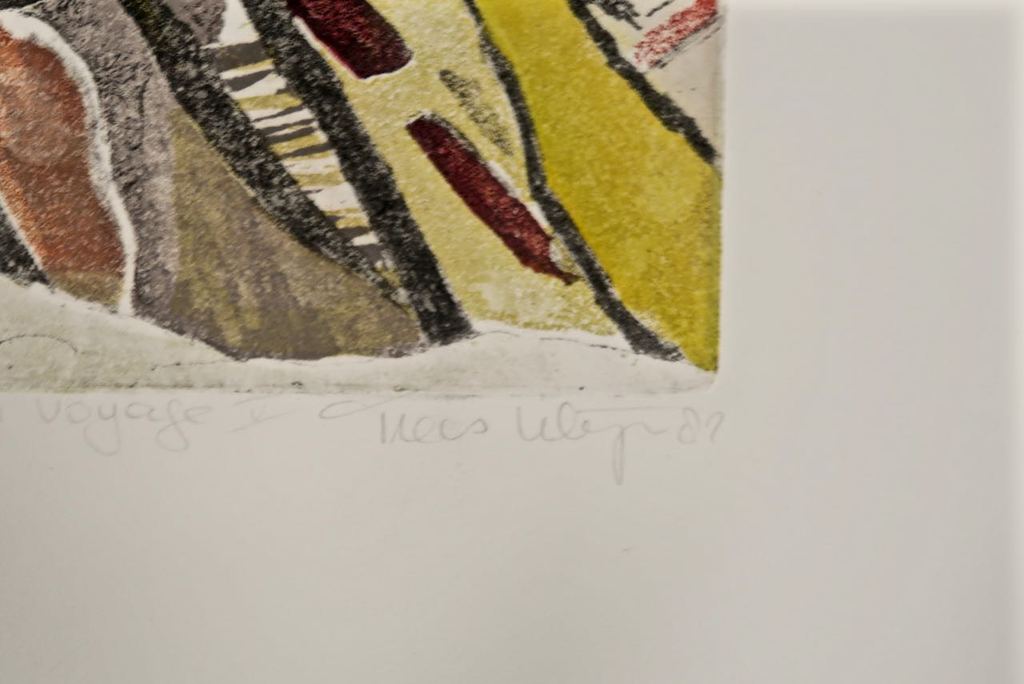 Trees Klijn: Ets, Description of a voyage V kopen? Bied vanaf 1!