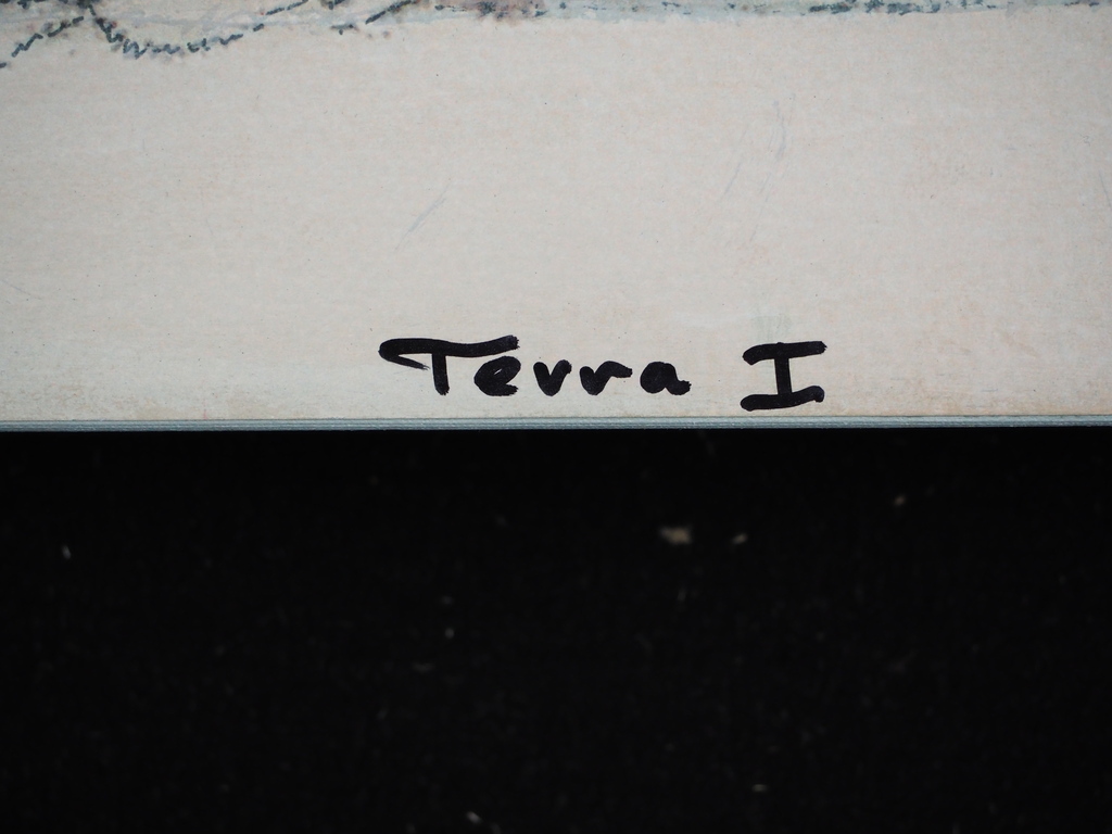 Ron van der Werf - Ron van der Werf: Zeefdruk, Terra I kopen? Bied vanaf 75!