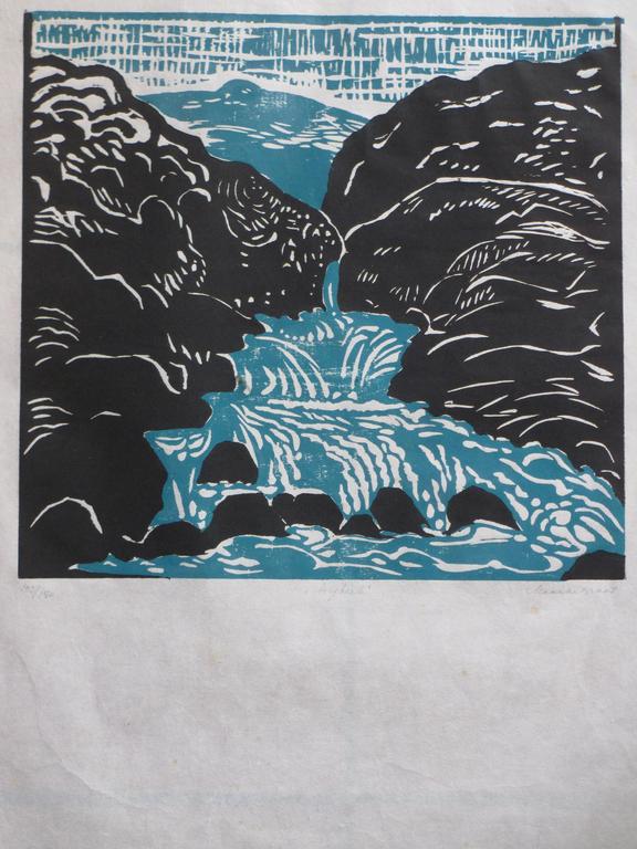 Maaike Braat, Bergbeek, Kleurenlino kopen? Bied vanaf 1!