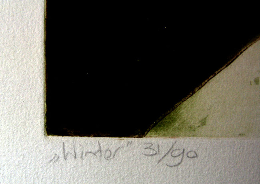 Laetitia de Haas - WINTER - kleurets kopen? Bied vanaf 1!