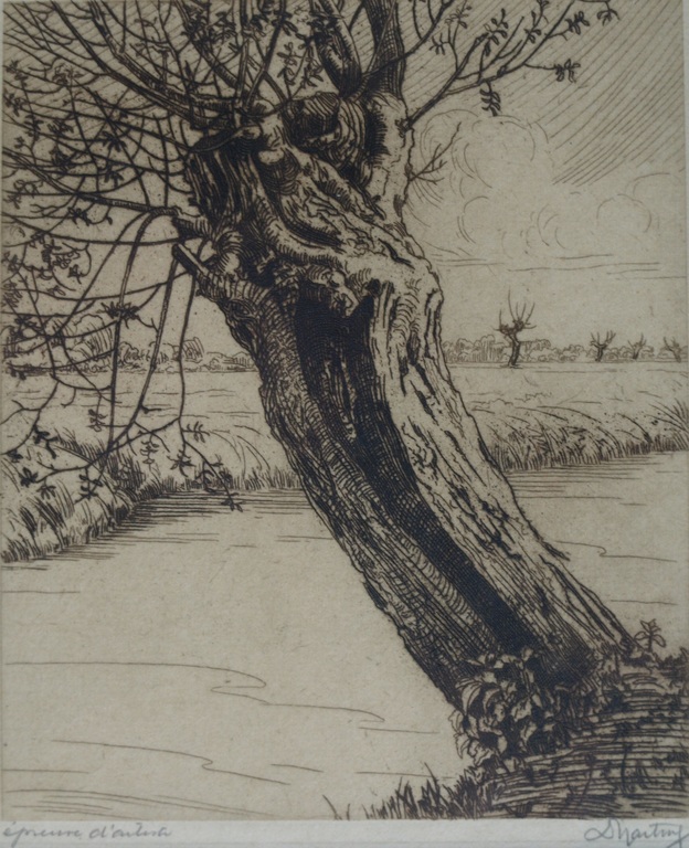 Dirk Harting (1884–1970) : Ets – Knotwilg – Gesigneerd & ingelijst – ca 1935 kopen? Bied vanaf 1!