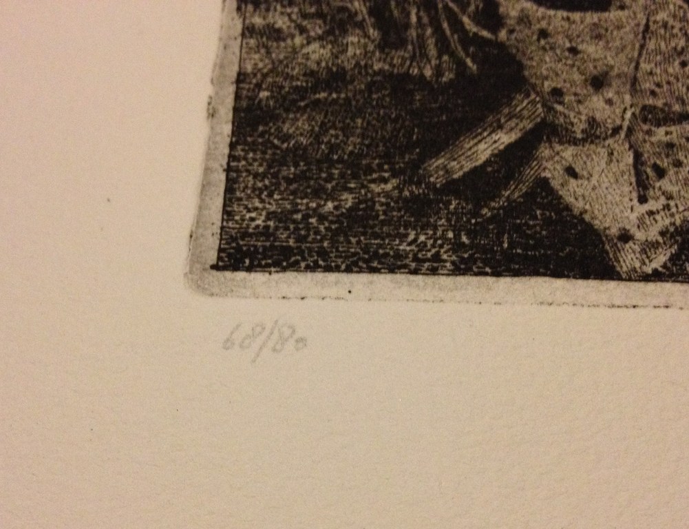 Charles Donker (1940): Paardebloemen, ets, ca. 1972 kopen? Bied vanaf 95!