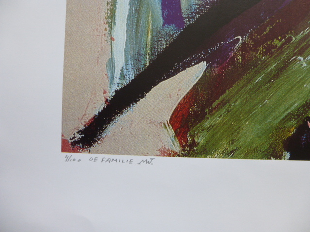 De Familie, zeefdruk, met de hand gesigneerd en genummerd oplaag 100 ex. kopen? Bied vanaf 50!