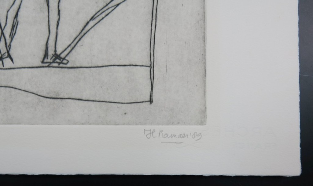 Hanny Ramaer: Droge naald, Dierlijk kopen? Bied vanaf 1!