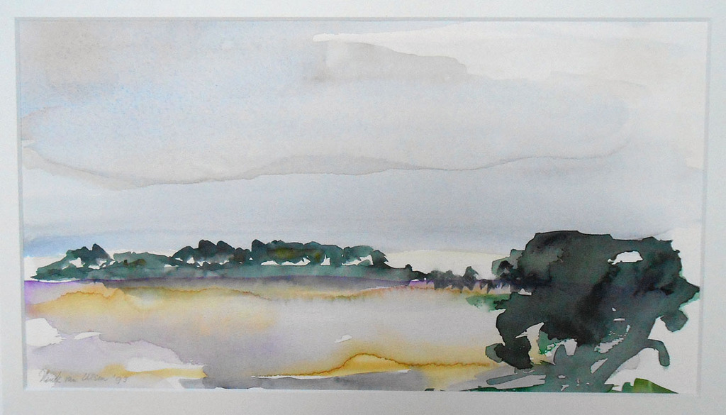 Henk van Ulsen, 2 aquarellen  ( Wezep heide en de Ijssel) uit 1994 en 1995. kopen? Bied vanaf 100!