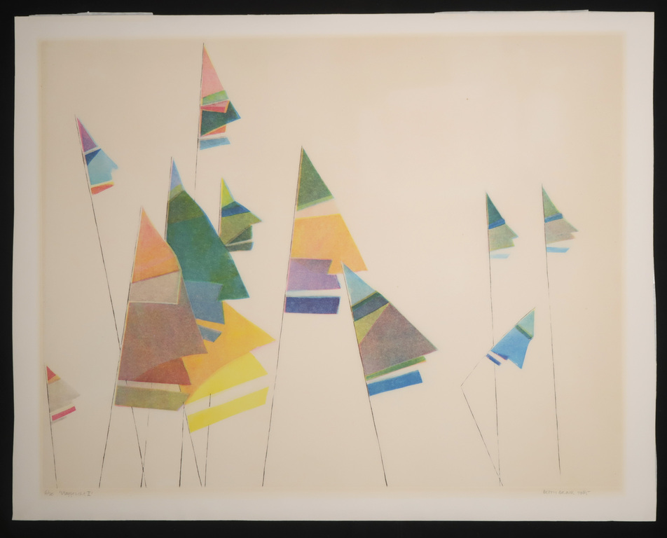 Betty Brink: Ets en aquatint, Vlaggezicht II kopen? Bied vanaf 1!