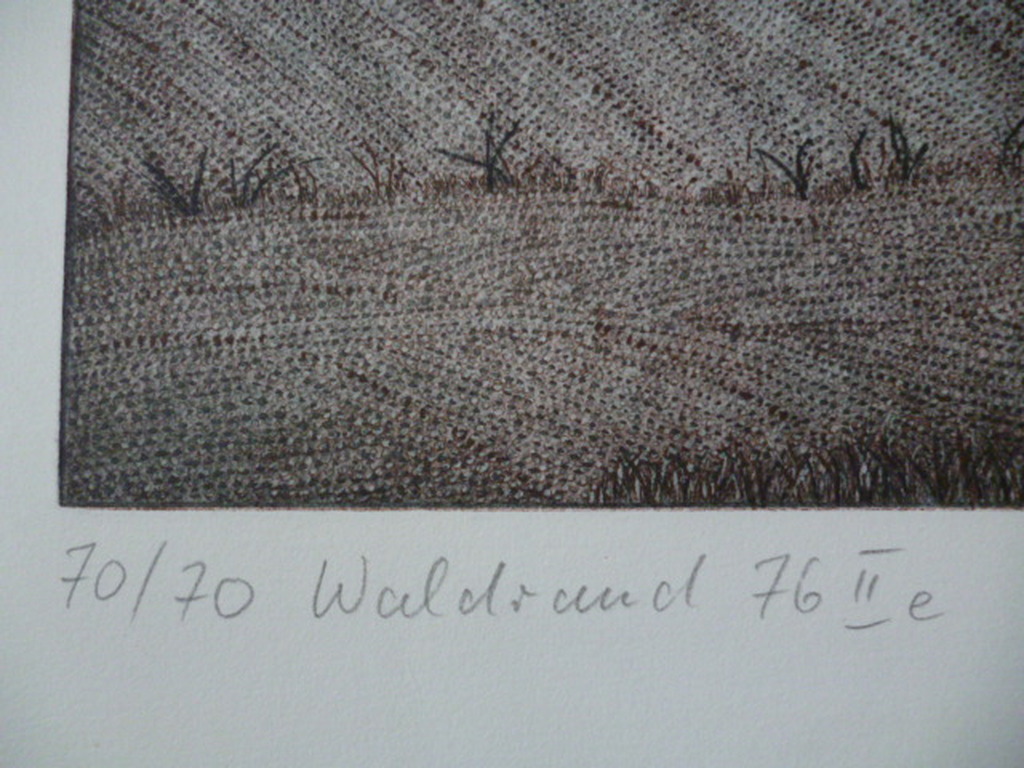 Peter Redeker - kleurenets - Waldrand kopen? Bied vanaf 40!