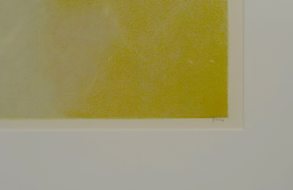 Pieter Vermeulen: Zeefdruk, Geschikt rood - Ingelijst (Groot) kopen? Bied vanaf 50!