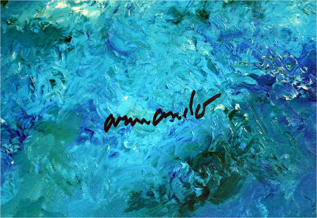 Armando: Seestuck - druk op plexiglas - gesigneerd - oplage 25 ex. - 2015 kopen? Bied vanaf 1!