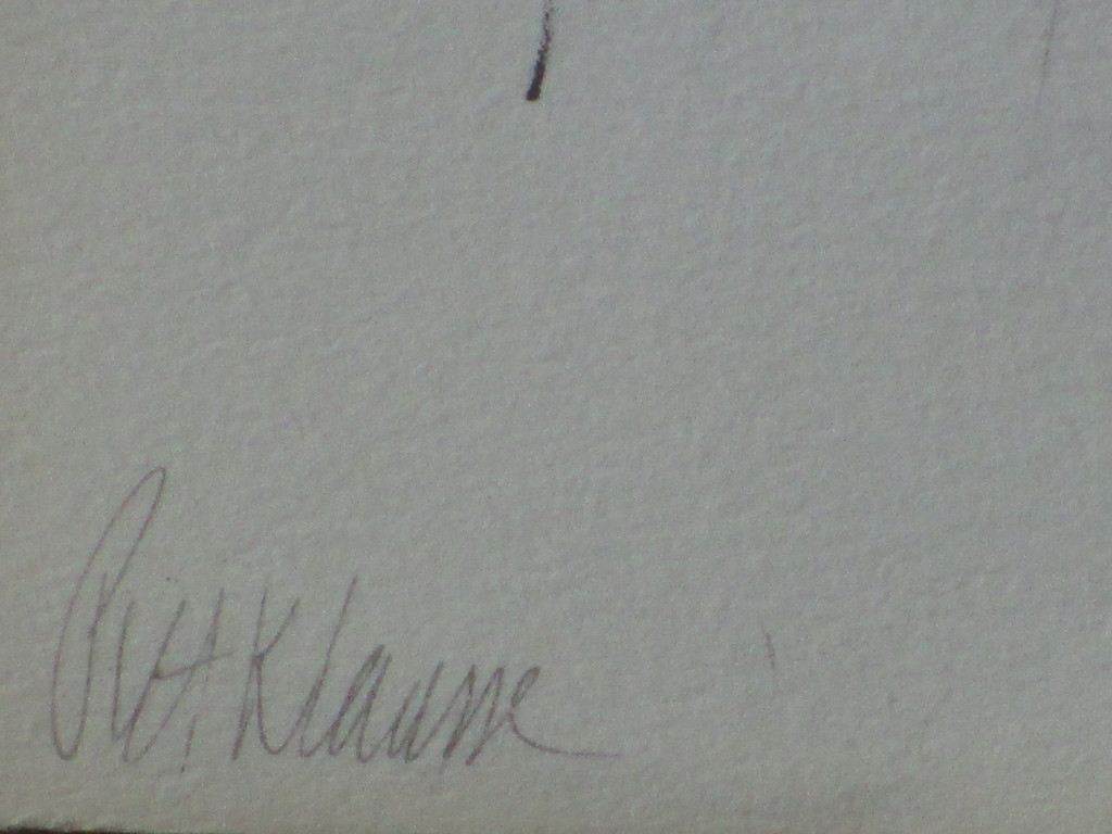 Piet Klaasse, Volop in de race, Litho kopen? Bied vanaf 25!