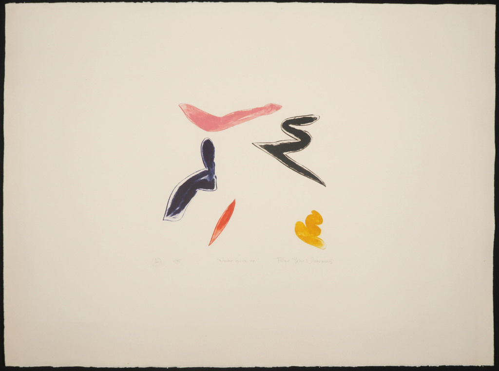 Peter John Voormeij: Kleurets, Never give up kopen? Bied vanaf 1!