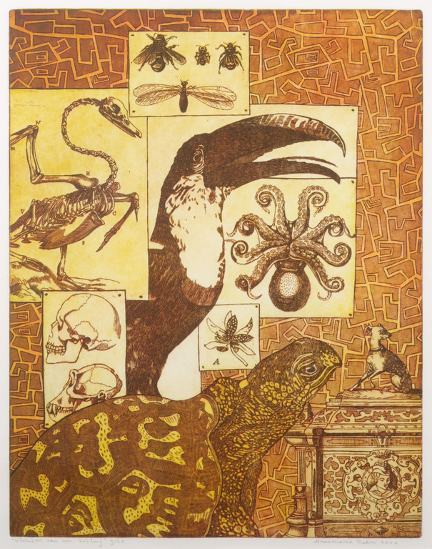 Annemarie Petri: Ets, Interieur van een Zeoloog - Ingelijst kopen? Bied vanaf 1!