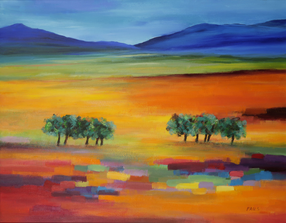 Hans Paus: Olieverf op Doek, Landschap - Ingelijst kopen? Bied vanaf 50!