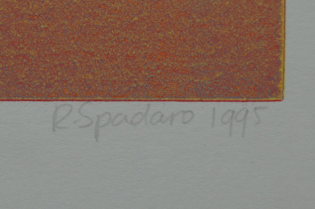 Rosetta Spadaro - gesigneerde ets - Helm Casuaris - 1995 kopen? Bied vanaf 10!