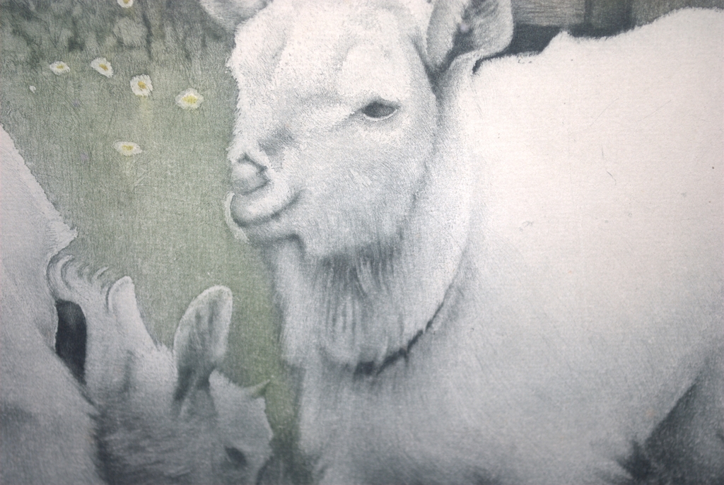 2 GEITJES - GROTE KLEURENETS UIT 1939 - EPREUVE D'ARTISTE kopen? Bied vanaf 159!