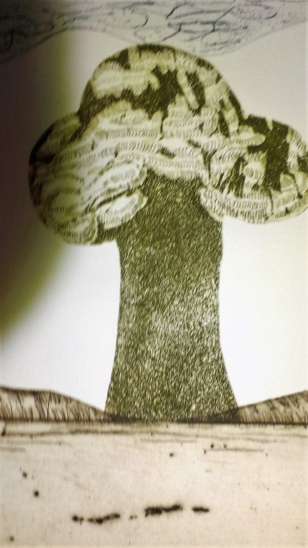 Dianel : Ets eigen druk 5/20 1977 kopen? Bied vanaf 40!