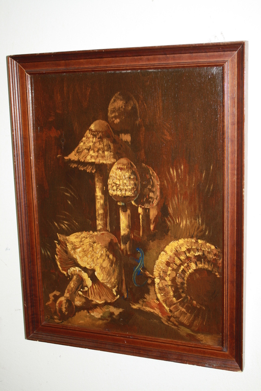 THEO GOEDVRIEND - PADDESTOELEN EN BLAUWE HAGEDIS kopen? Bied vanaf 139!