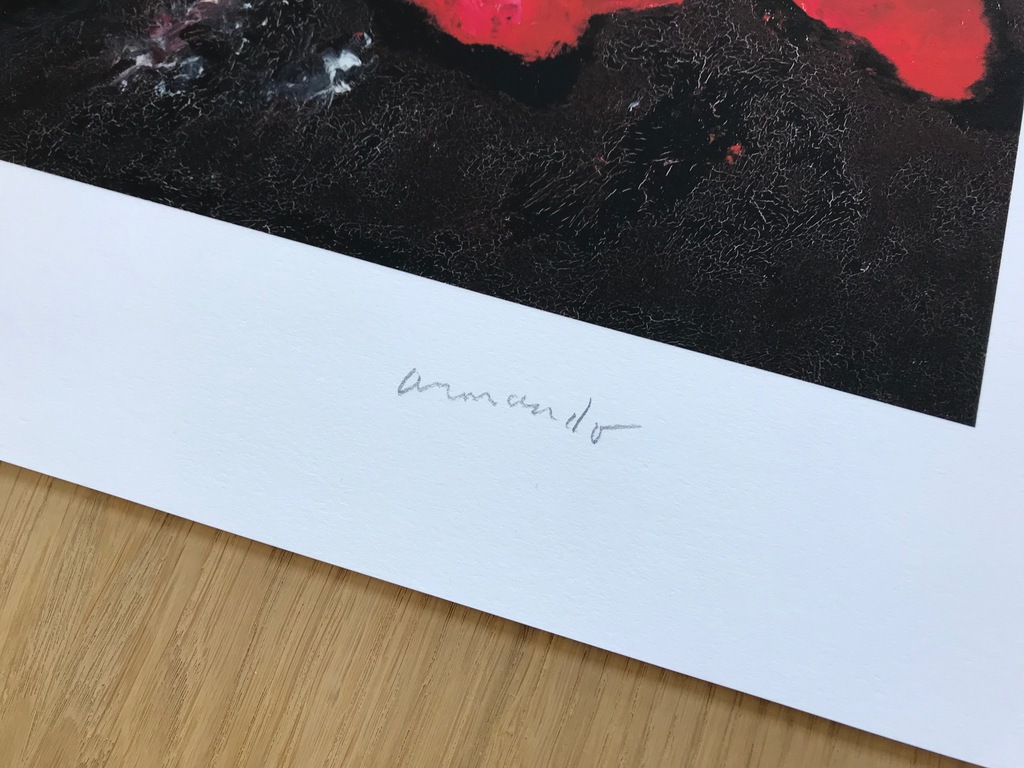 Armando - Armando - 'Blüme' - Handgesigneerde en genummerde giclee - NIEUWSTAAT kopen? Bied vanaf 195!