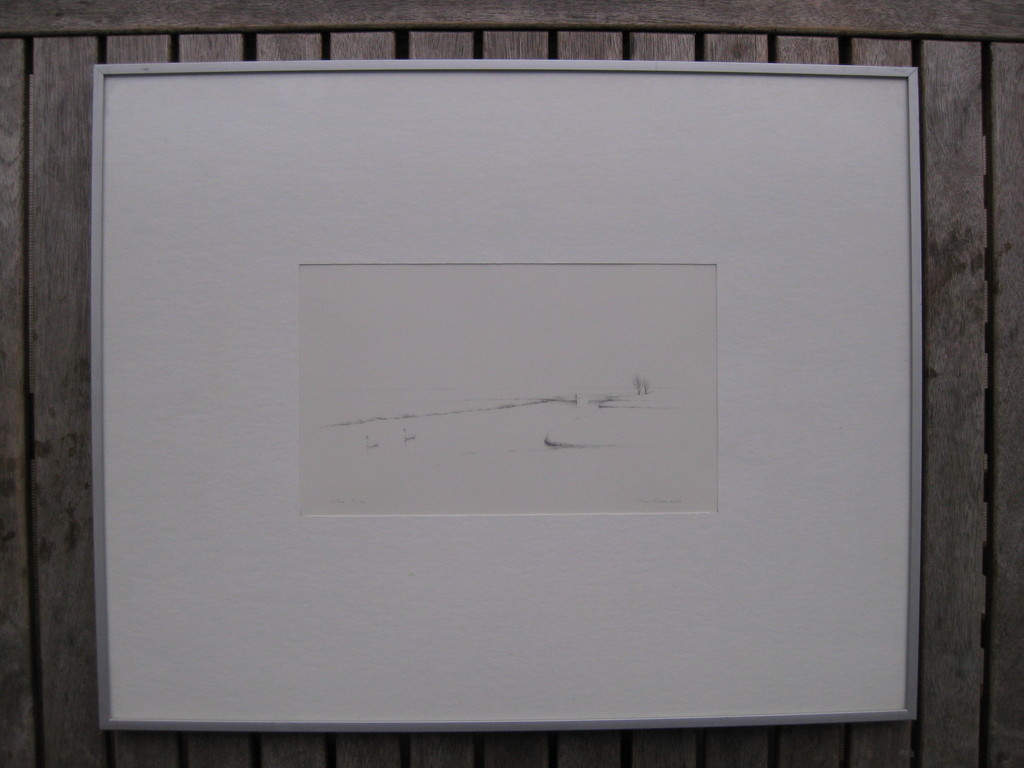 Hans Visser Litho 12/12 kopen? Bied vanaf 1!