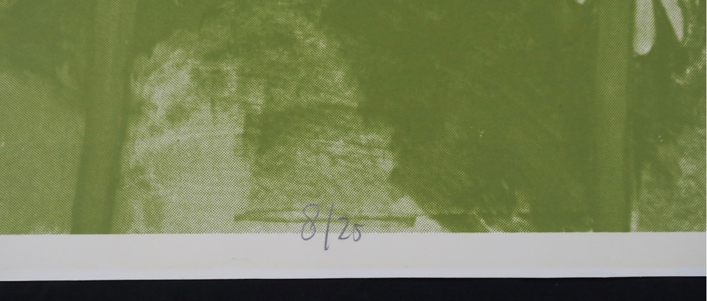 Ad Gerritsen: Zeefdruk, Artificiele Chaos (groen) kopen? Bied vanaf 20!