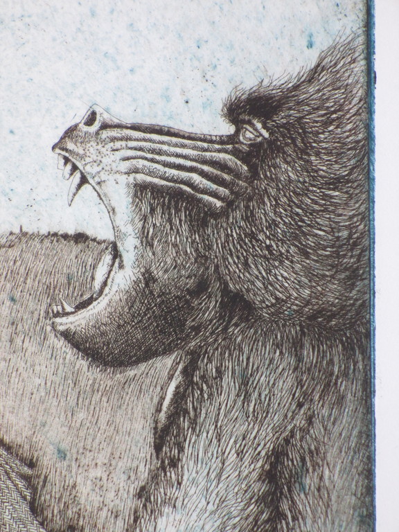 Sjef Henderickx, Bizarre scene met baviaan, Kleurets kopen? Bied vanaf 35!