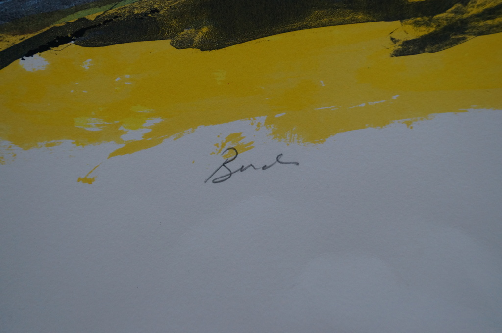 John Lie a Fo - gesigneerde zeefdruk - birds kopen? Bied vanaf 30!
