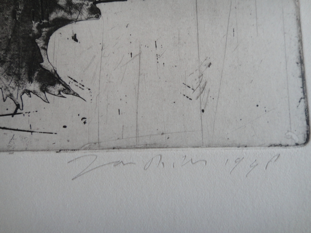 Jan Prins (1956) - (zeldzame) ets - tropische bloemen  kopen? Bied vanaf 1!