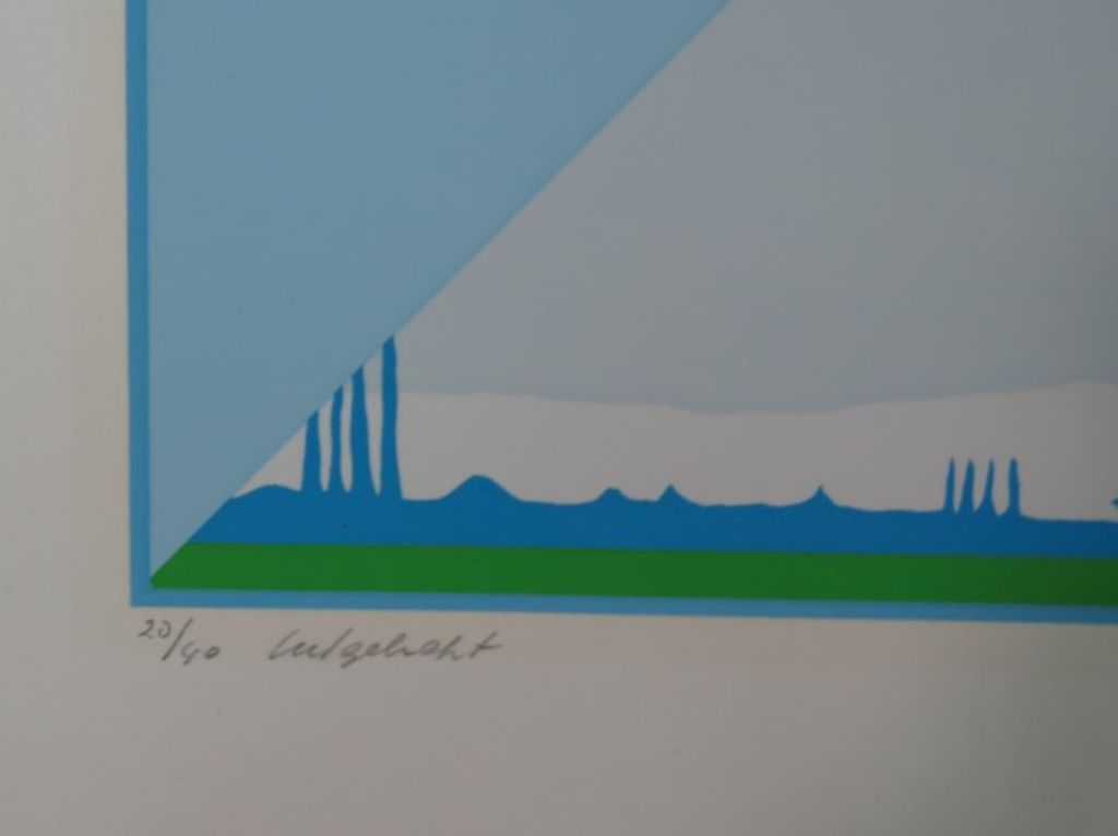 Han Jansen: Zeefdruk, Uitgehakt kopen? Bied vanaf 1!