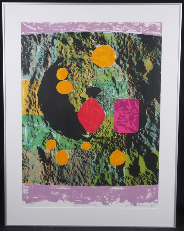 Jelis van Dolderen: Zeefdruk, Luna Colorata III - Ingelijst verkocht voor € 50!