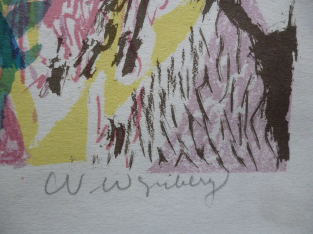 Nicolaas Wijnberg - kleurenlitho - Boerderij kopen? Bied vanaf 30!