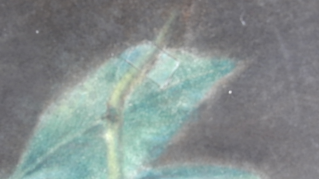 toegeschreven aan:Anthony Oberman, stilleven / fruit op dik briefpapier. pastel. kopen? Bied vanaf 200!