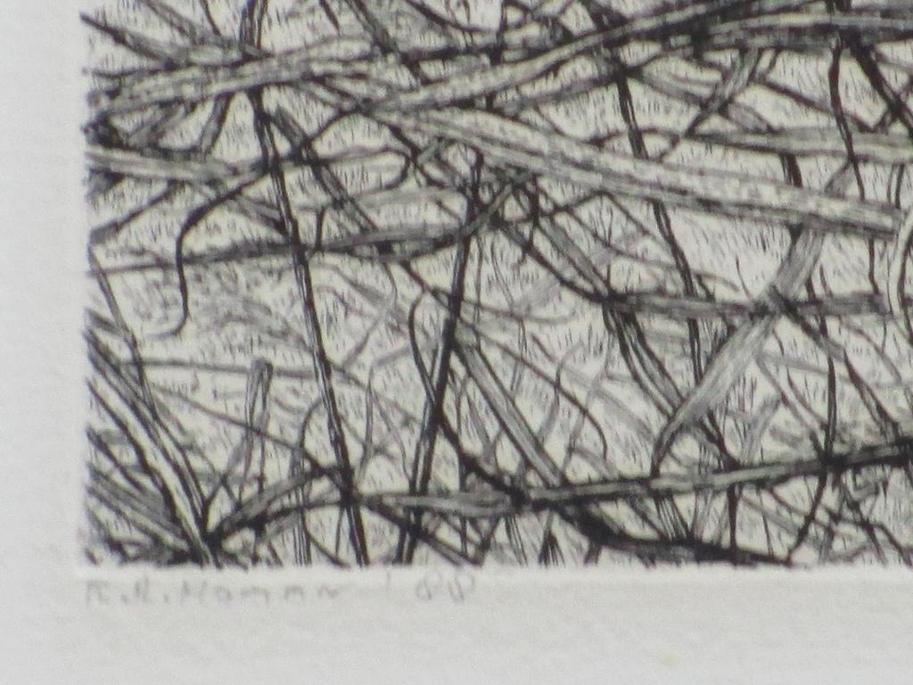 Reinder Homan, Landschap met riet in polder, Ets kopen? Bied vanaf 80!