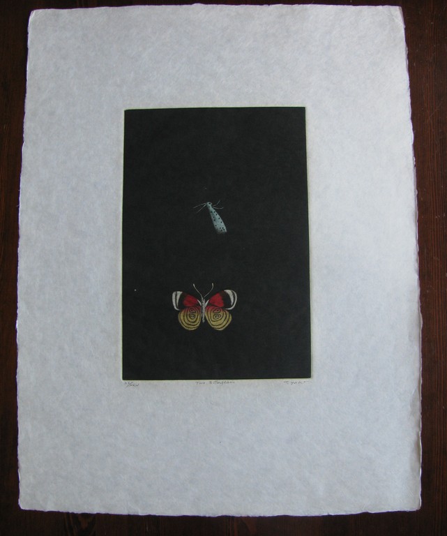 Tomoe YOKOI, "Twee vlinders", schitterende kleurets, genummerd en gesigneerd kopen? Bied vanaf 25!