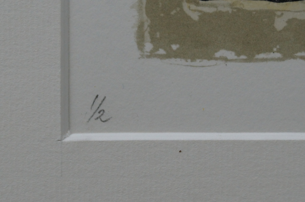 Caroline Gresnigt - gesigneerde litho incl. passepartout - oplage 2 stuks - 1988 kopen? Bied vanaf 10!
