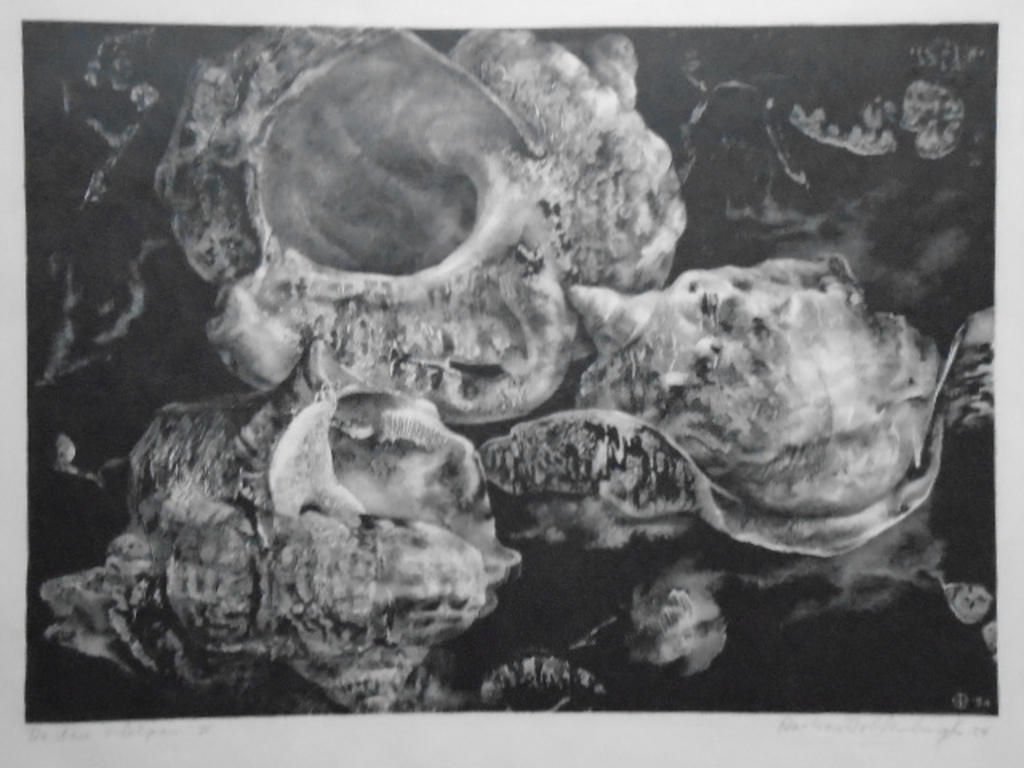 Aart van Dobbenburgh - litho - De drie schelpen II verkocht voor € 35!