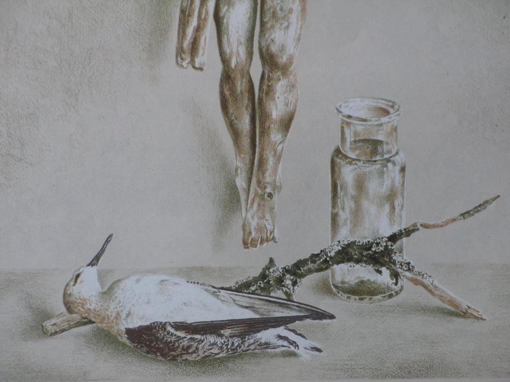 Wim Schuhmacher, Corpus Christi met dode vogel, Kleurenlitho kopen? Bied vanaf 1!