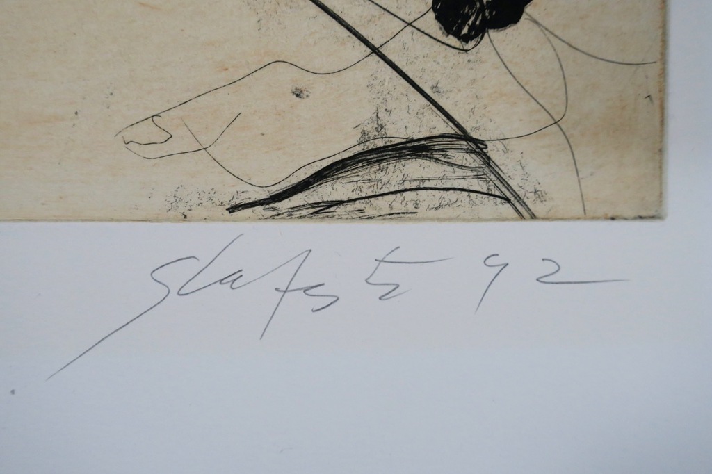 Ger Lataster: Kleurenets, Z.T. kopen? Bied vanaf 100!